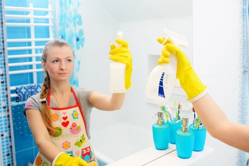 Cleaners W10 team with safety equipment and insured service