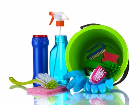 Professional pet stain and odour removal for carpets in a W10 home