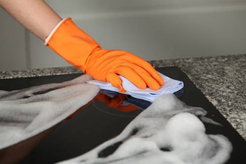 Deep cleaning equipment used for pet stain odour removal in W10