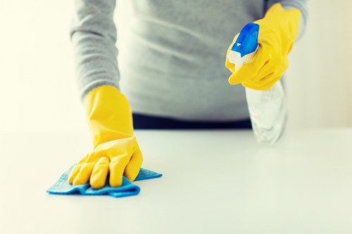 Transparent cleaners pricing and quotes for W10 customers