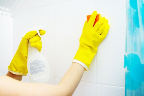 Local cleaner preparing a W10 flat for a regular household cleaning visit