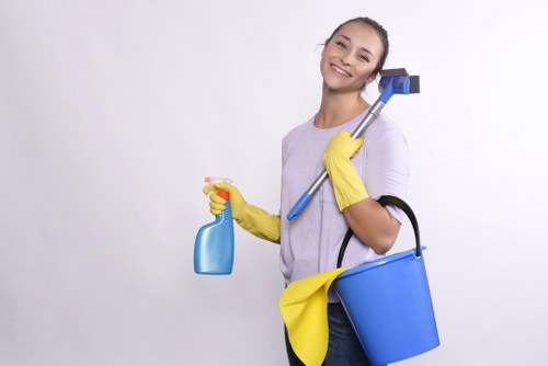 Practical weekly and fortnightly cleaning service in W10